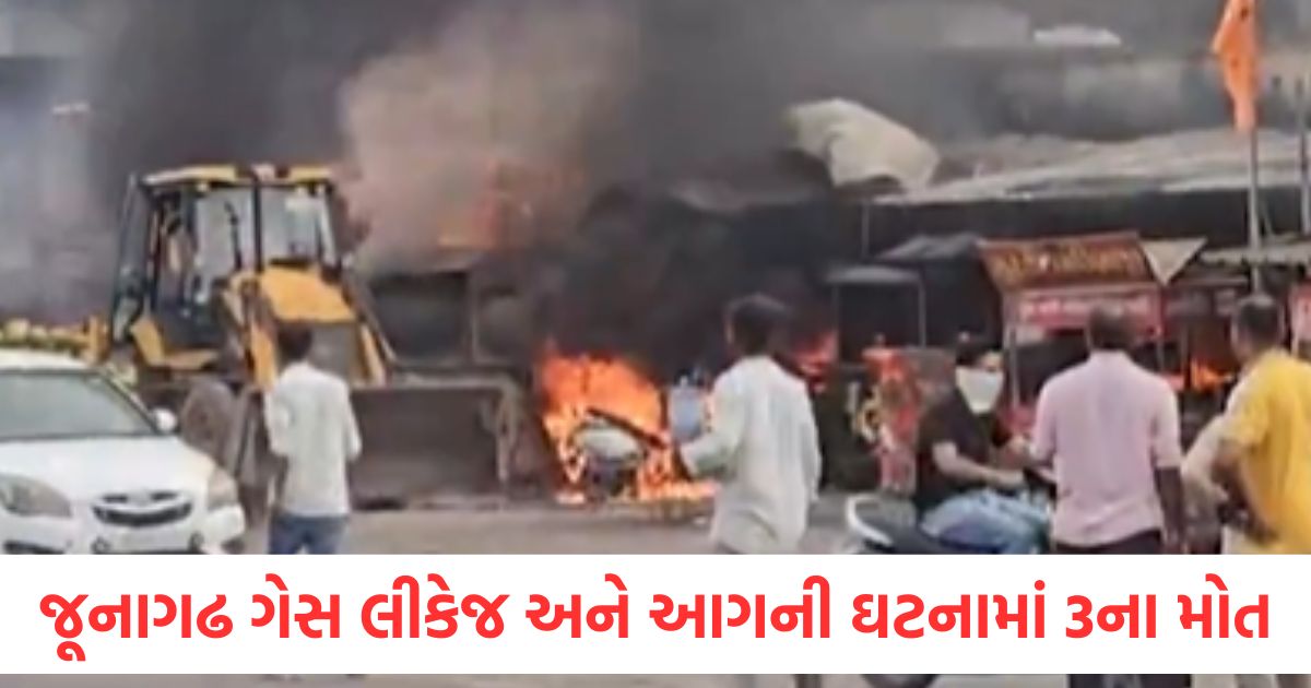 junagadh gas leak fire incident torrent gas statement1