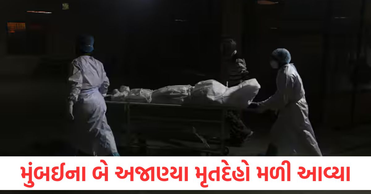 mumbai wadala dahisar unknown bodies discovered police started investigation postmortem cctv footage1