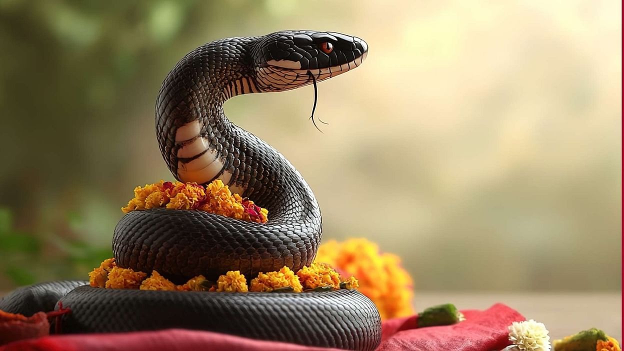 naag panchami 2025 date subh tithi muhurat nag panchami kab hai1