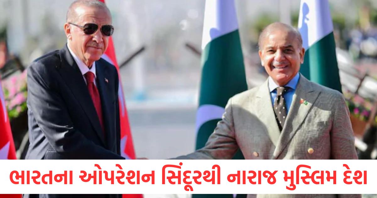 operation sindoor turikye backs pakistan after india strikes on terror camps in pakistan2