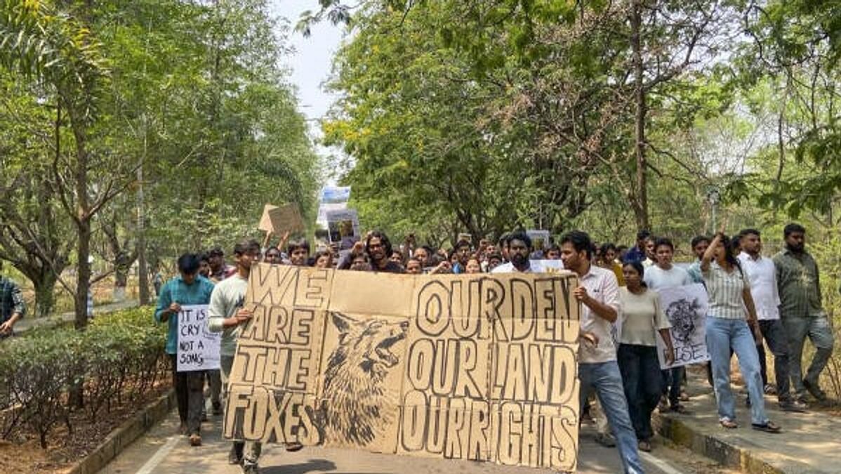 restore forest near hyderabad varsity or face action sc warns telangana