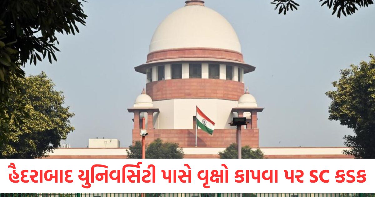 restore forest near hyderabad varsity or face action sc warns telangana1