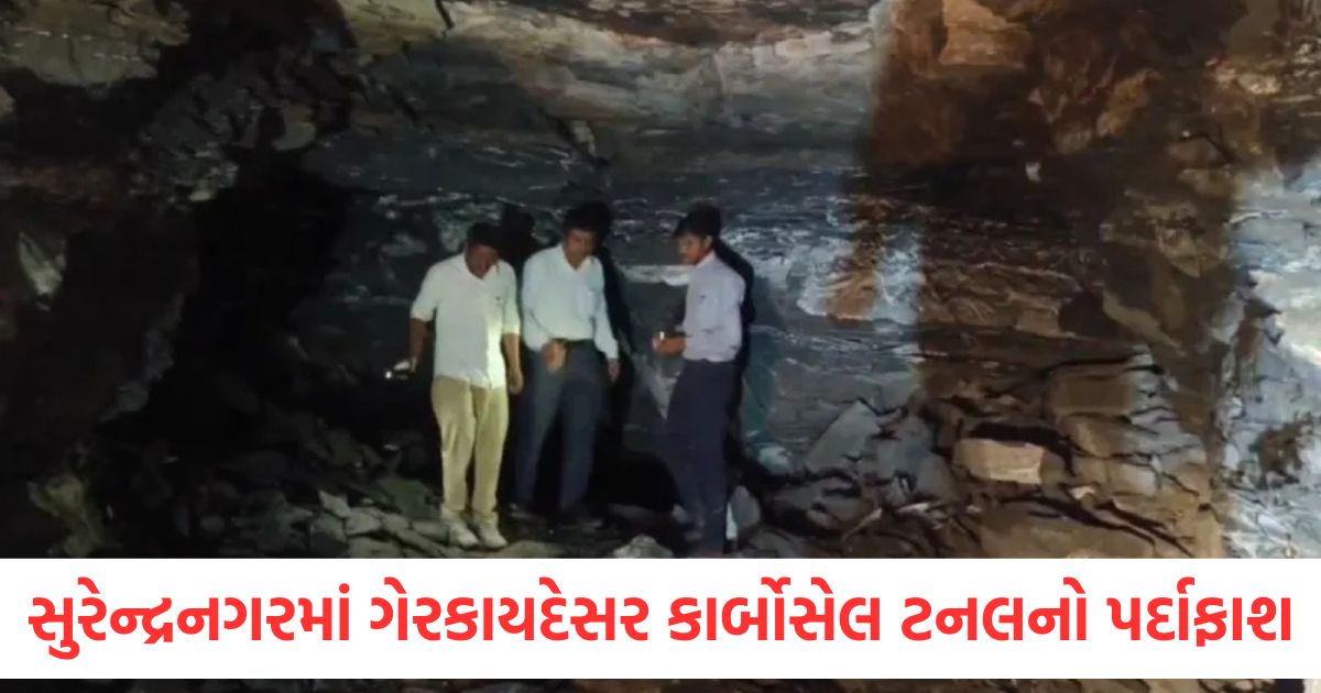 surendranagar illegal carbocel tunnel exposed 11 workers rescued safely1