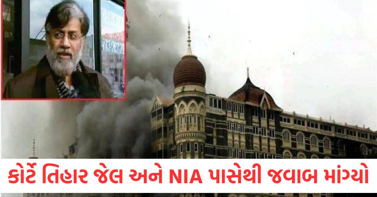 tahawwur ranas plea new delhi city news on mumbai attack accused1