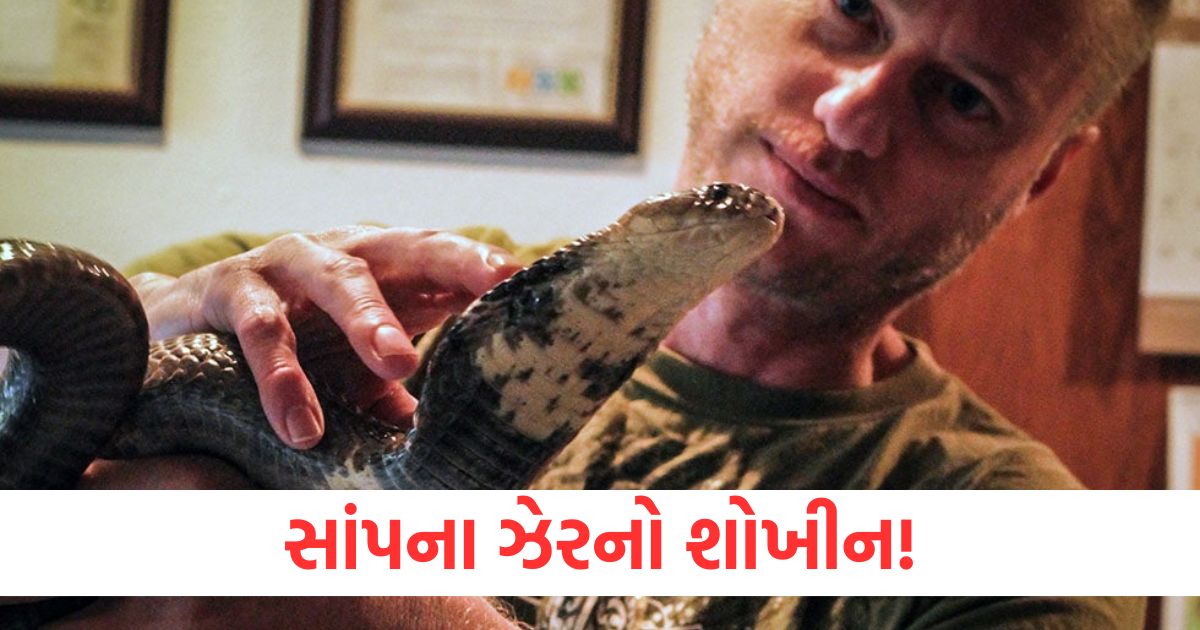 tim fried fond of snake venom he has got himself bitten by many poisonous snakes