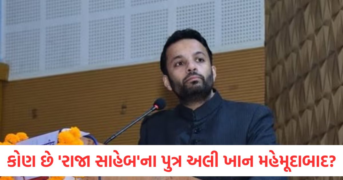 who is ali khan mahmudabad ashoka university professor arrested for commenting on sofia qureshi press briefing2