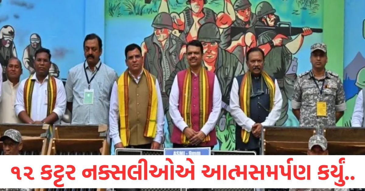 12 hardcore naxalites surrendered cm fadnavis said maoists should return to the mainstream