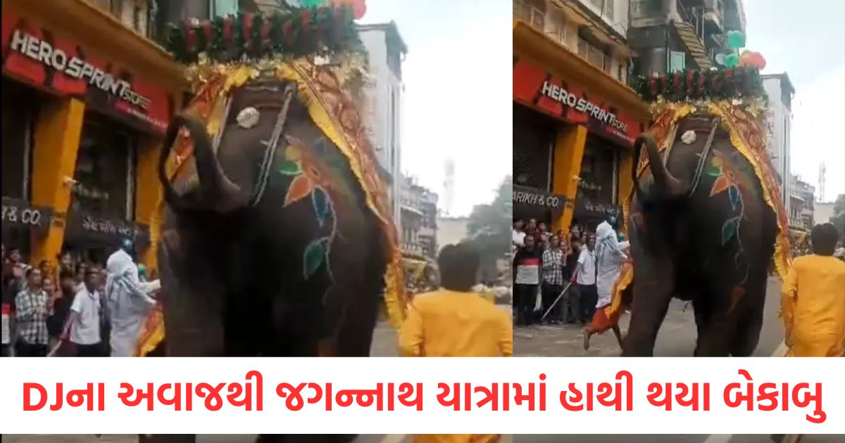 3 elephants go wild due to DJs noise during Jagannath Yatra 4 people injured in chaos