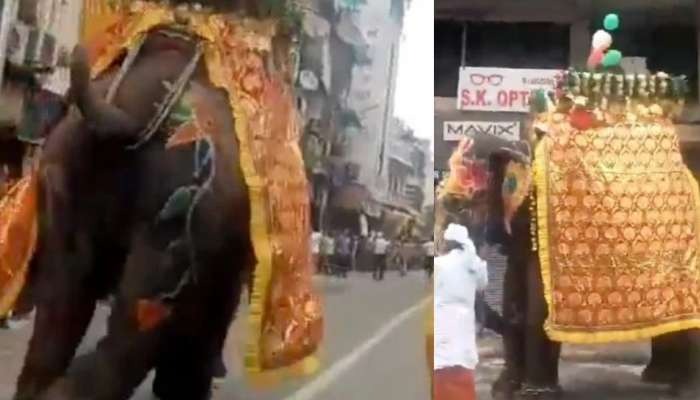 3 elephants go wild due to DJs noise during Jagannath Yatra 4 people injured in chaos1
