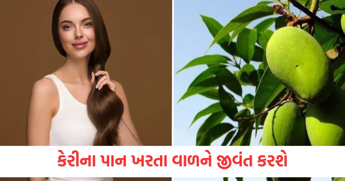 Mango leaves will revive hair loss just know how to use them