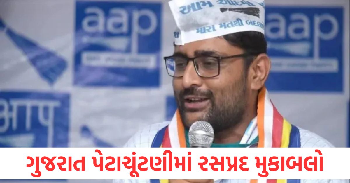 aam aadmi party gopal italia filed nomination from visavadar where bjp congress candidates gujarat assembly by election1