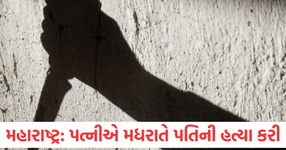 another raja raghuvanshi murder case wife killed her husband just 15 days after marriage