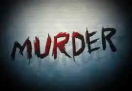 another raja raghuvanshi murder case wife killed her husband just 15 days after marriage11
