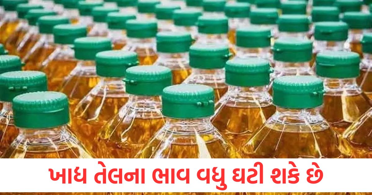 biz edible oil prices may more cheaper after import duty cuts and government action on mill audits