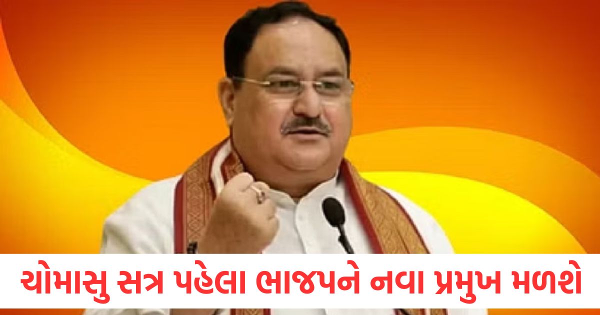 bjp will get new president before monsoon session of parliament know everything