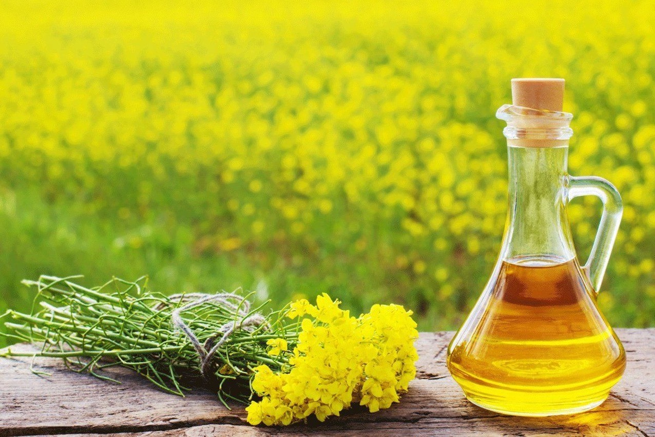 can we apply mustard oil on face daily know side effects and benefits for skin11