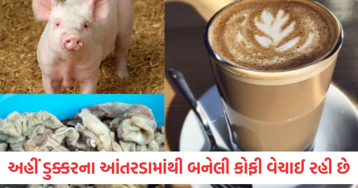 chinese cafe serve coffee made with cooked pig intestine weird food dishes in china