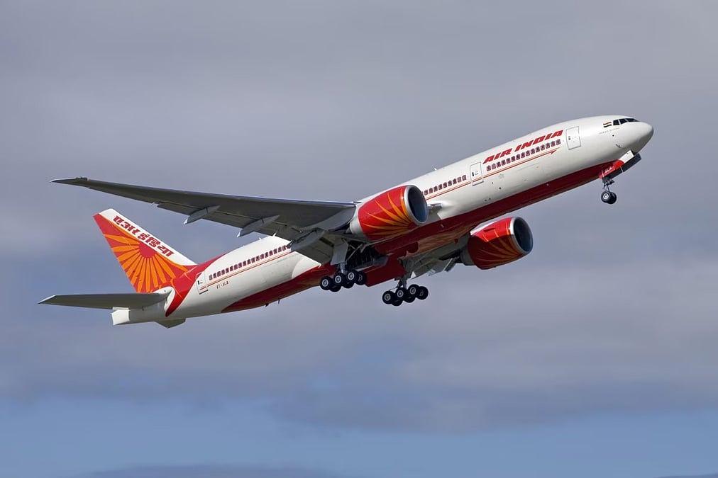 delhi pune air india flight suffers bird hit return journey cancelled11