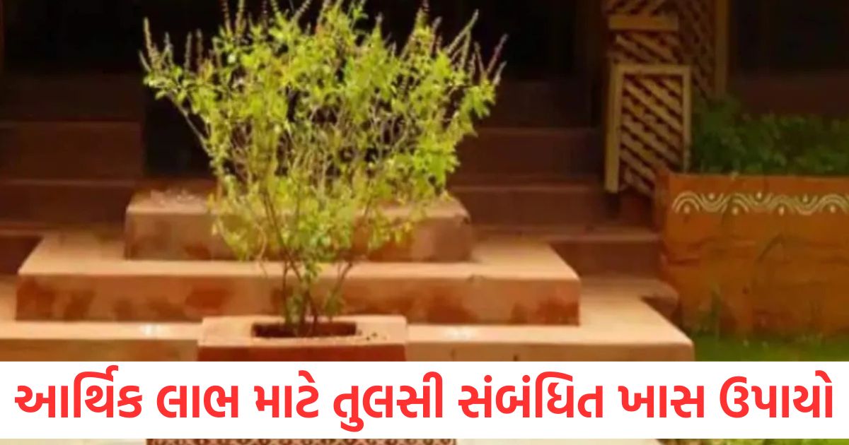 dhan labh ke liye tulsi ke upay money tips