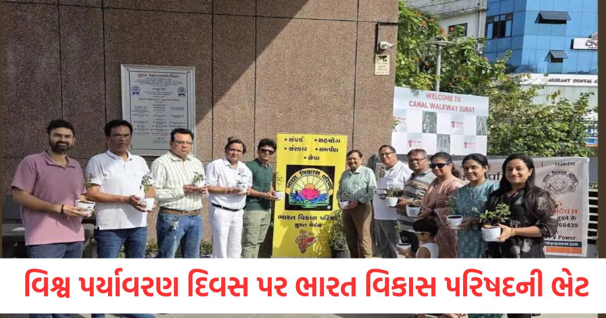 distribution of 350 tulsi plants of tulsi gift of india