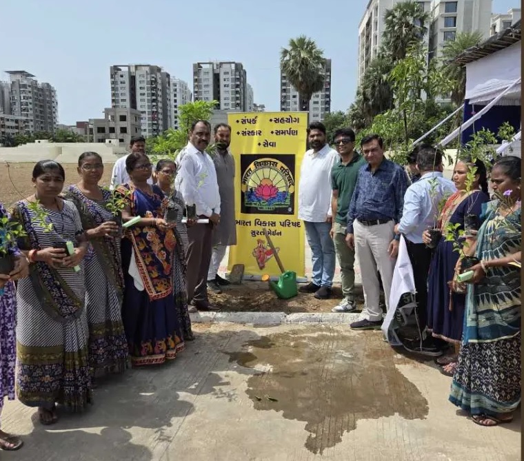 distribution of 350 tulsi plants of tulsi gift of india11