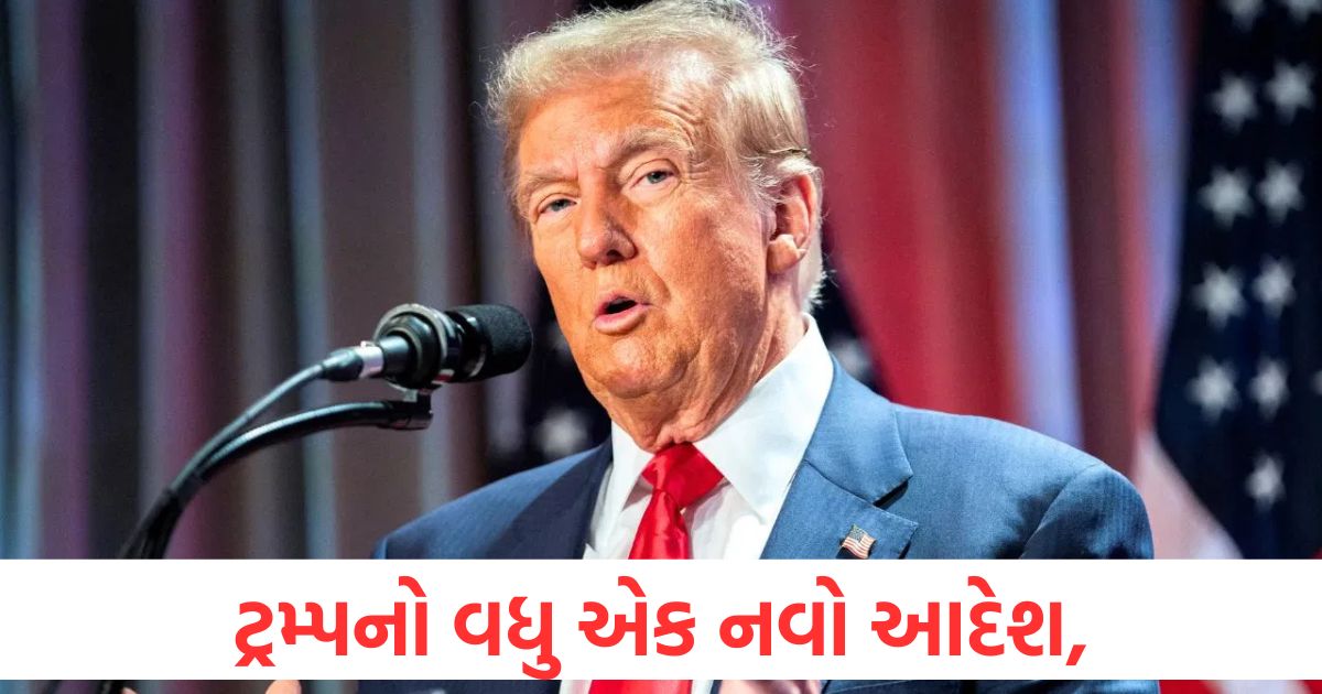 donald trump new visa rule requires public social media profiles for indians