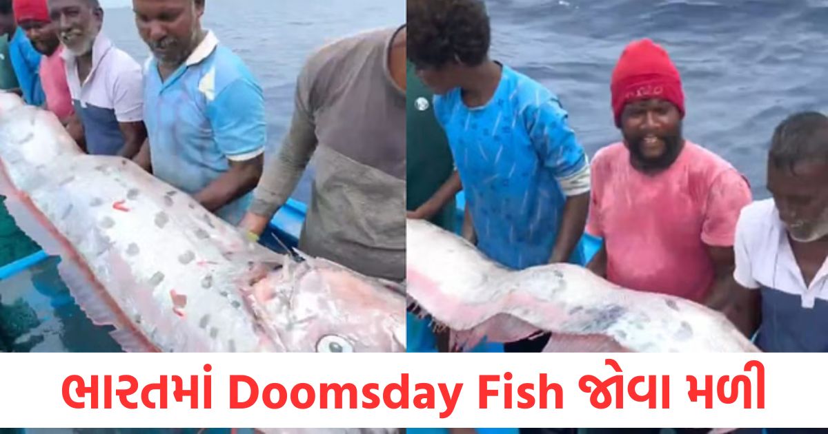 doomsday fish oarfish caught in the net in tamil nadu india what doomsday is coming