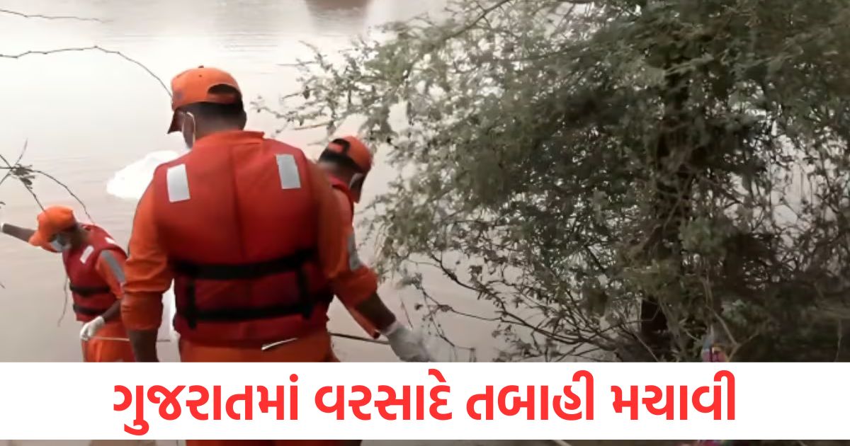 gujarat heavy rain botad 9 members of same family swept away along with water rescue operation all latest updates