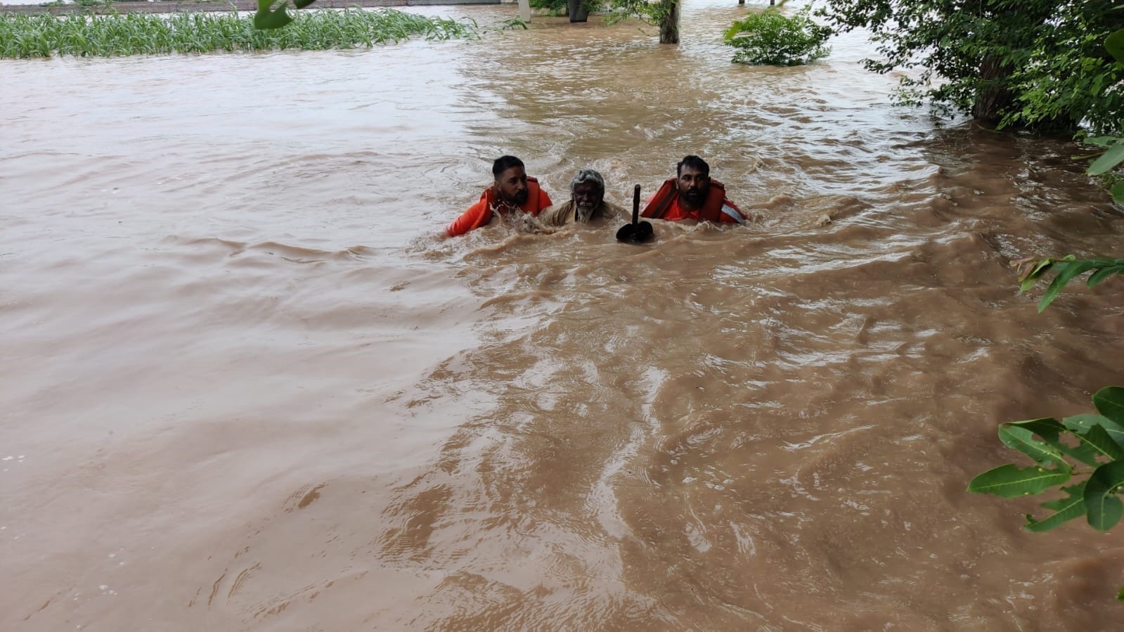 gujarat heavy rain botad 9 members of same family swept away along with water rescue operation all latest updates11