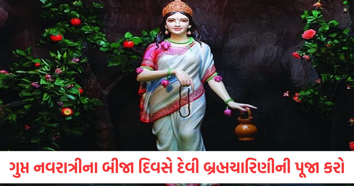 gupt navratri june 2025 worship maa brahmacharini on the second day note the rituals