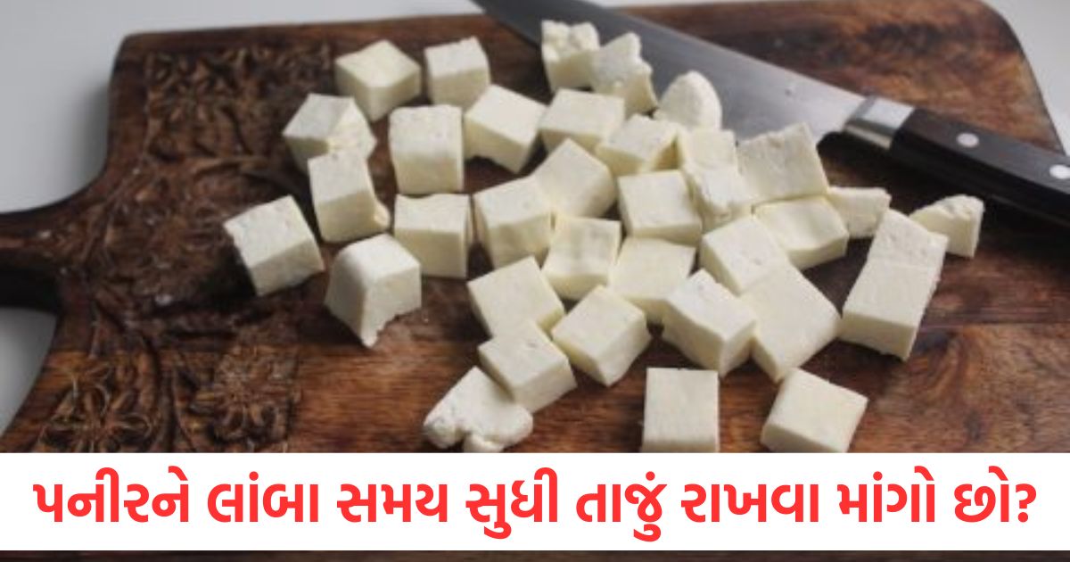 how to increase paneer shelf life tips to store cottage cheese