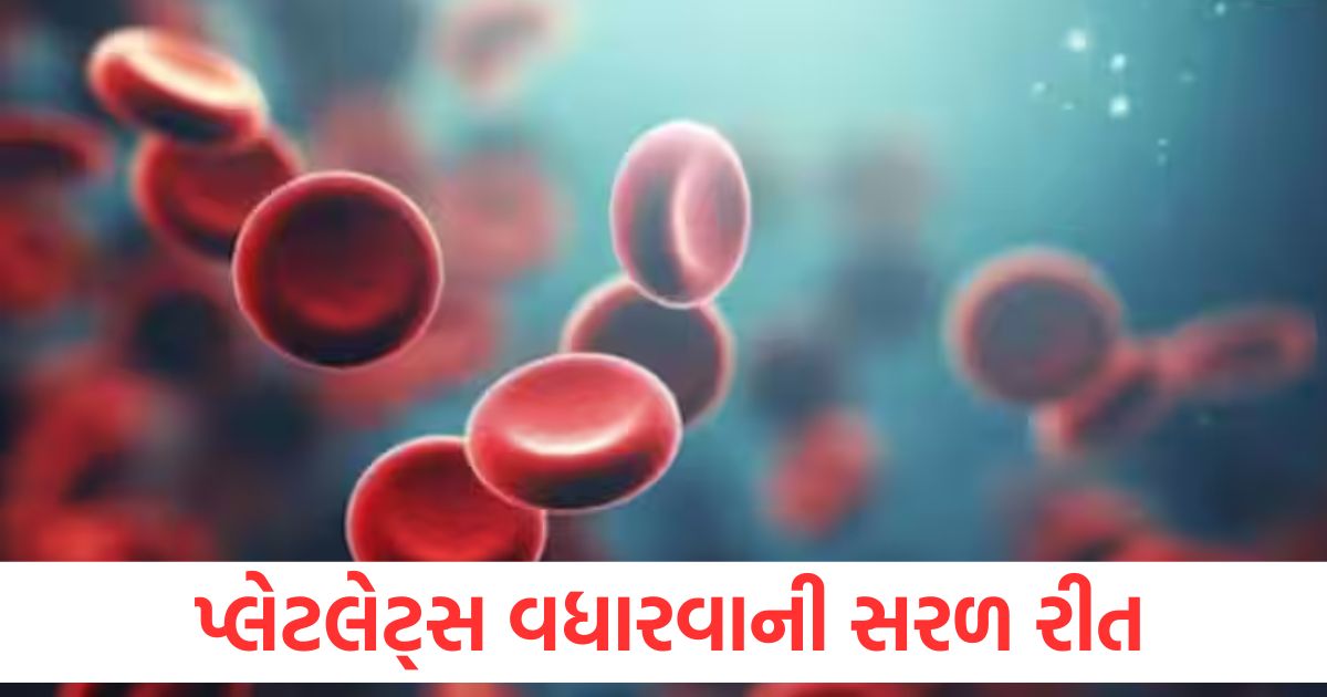 how to increase platelets at home in easy way