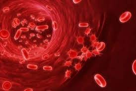 how to increase platelets at home in easy way11