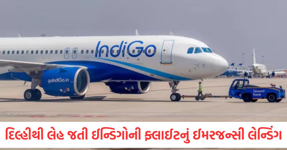 indigo flight emergency landing delhi leh