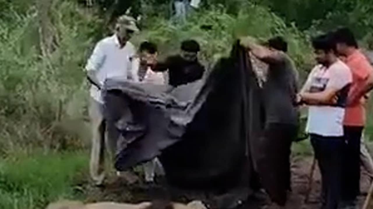 lion attack thordi amreli child killed forest department action gujarat11