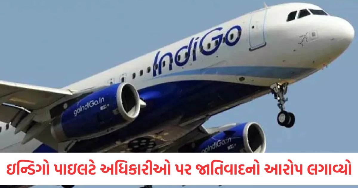 national indigo trainee pilot accused three senior officials telling him not to fit fly plane must stich shoes