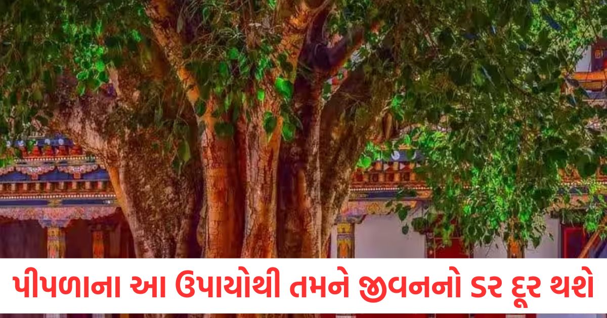 peepal ke upay remove fear and pitru dosh with powerful vedic solutions check details