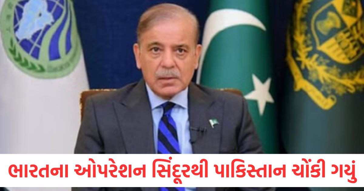 pm shahbaz sharif wants to talk with india said this to the crown prince of saudi arabia
