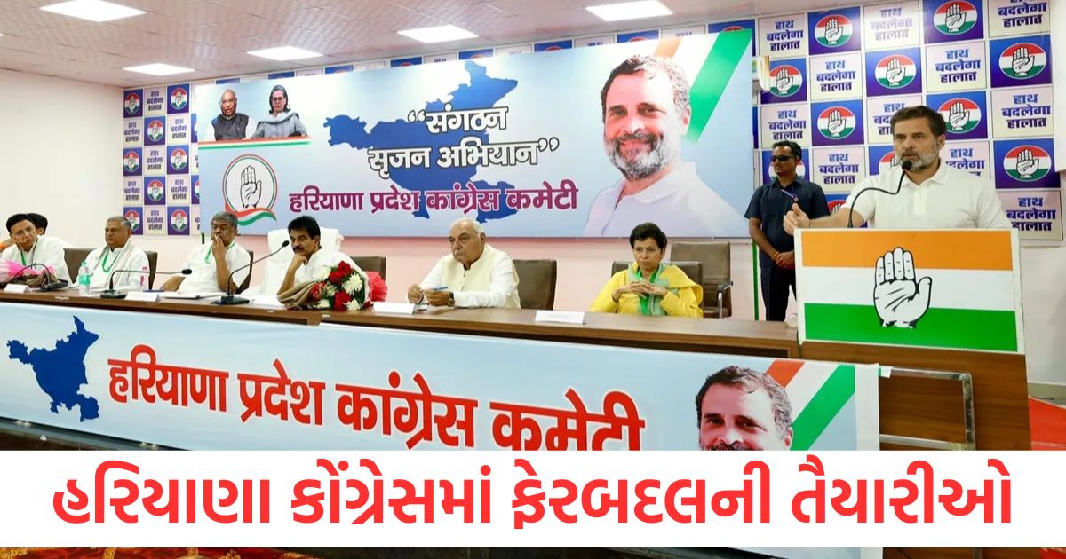 preparations for reshuffle in haryana congress rahul holds meeting with leaders