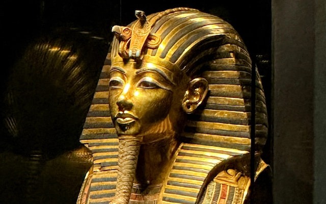 toxic fungus from king tut tomb may fight leukemia cancer reveals new study111
