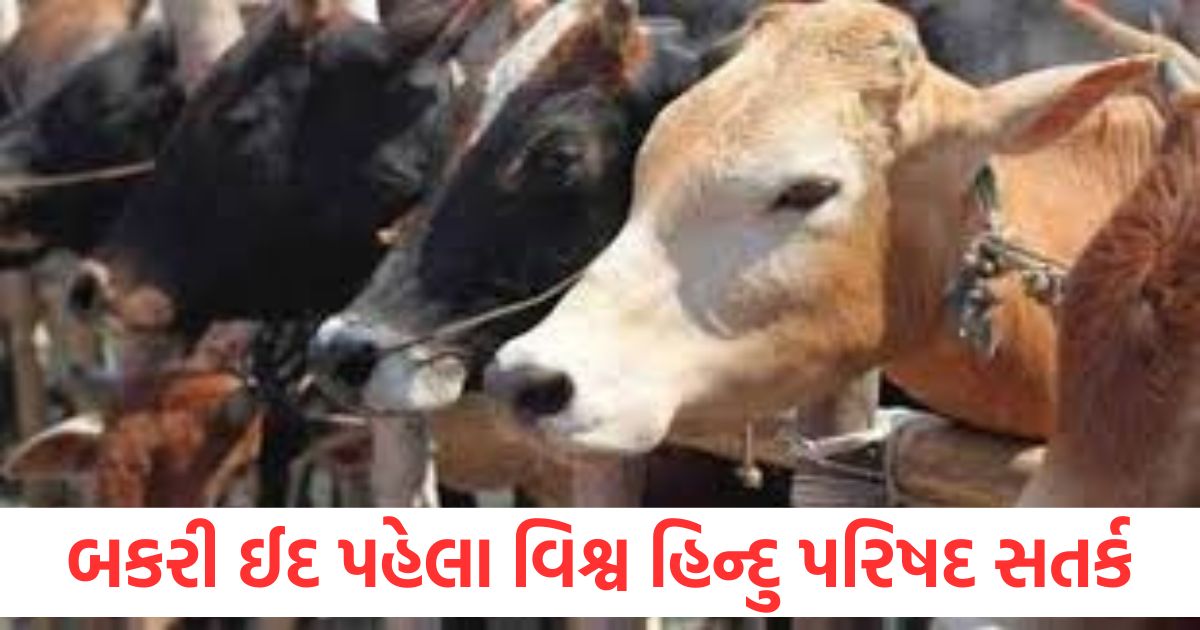 vishwa hindu parishad will check cow smugglers on maharashtra border amid bakrid