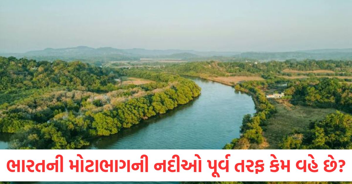 why most of the river in india flow on the east know what is the reason behind this