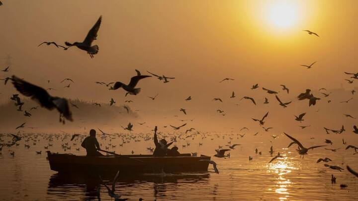 why most of the river in india flow on the east know what is the reason behind this11