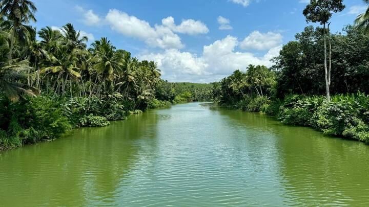 why most of the river in india flow on the east know what is the reason behind this22