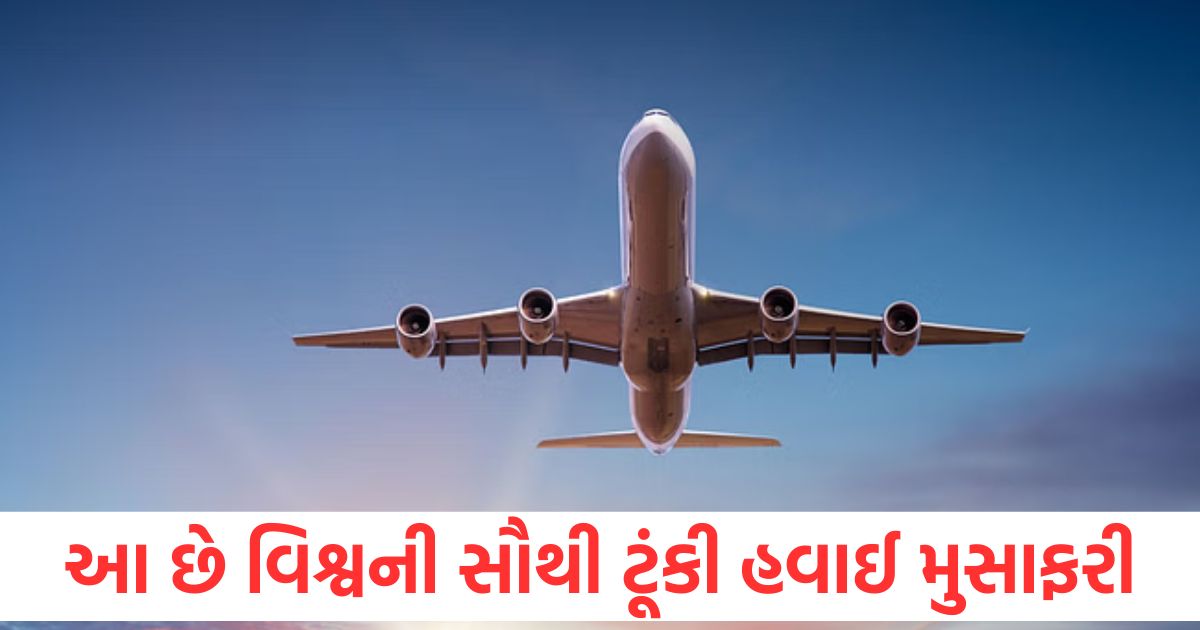 world shortest flight this air travel ends within seconds after takeoff check fastest passenger flight