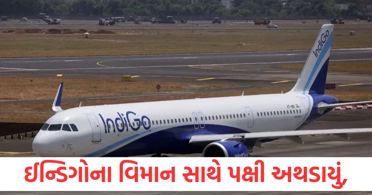 A bird hit an IndiGo plane going from Patna to Delhi 175 passengers were on board know what happened