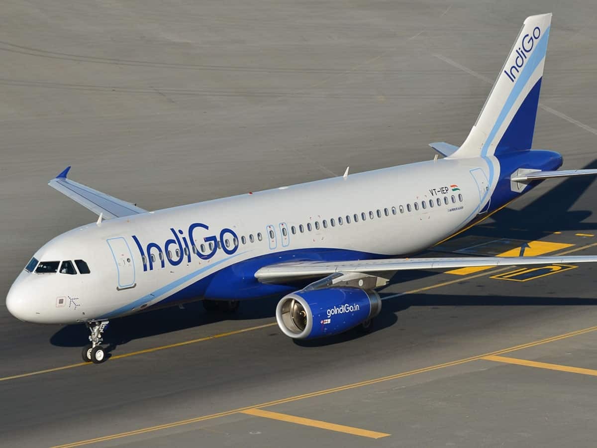 A bird hit an IndiGo plane going from Patna to Delhi 175 passengers were on board know what happened