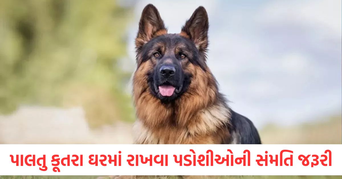 In Surat now consent of 10 neighbors is required to keep a pet dog at home Municipal Corporation issues notice