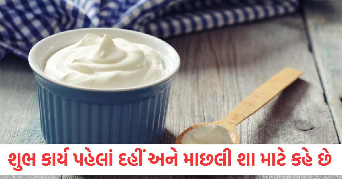 People say curd and fish before any auspicious work what is the reason behind this
