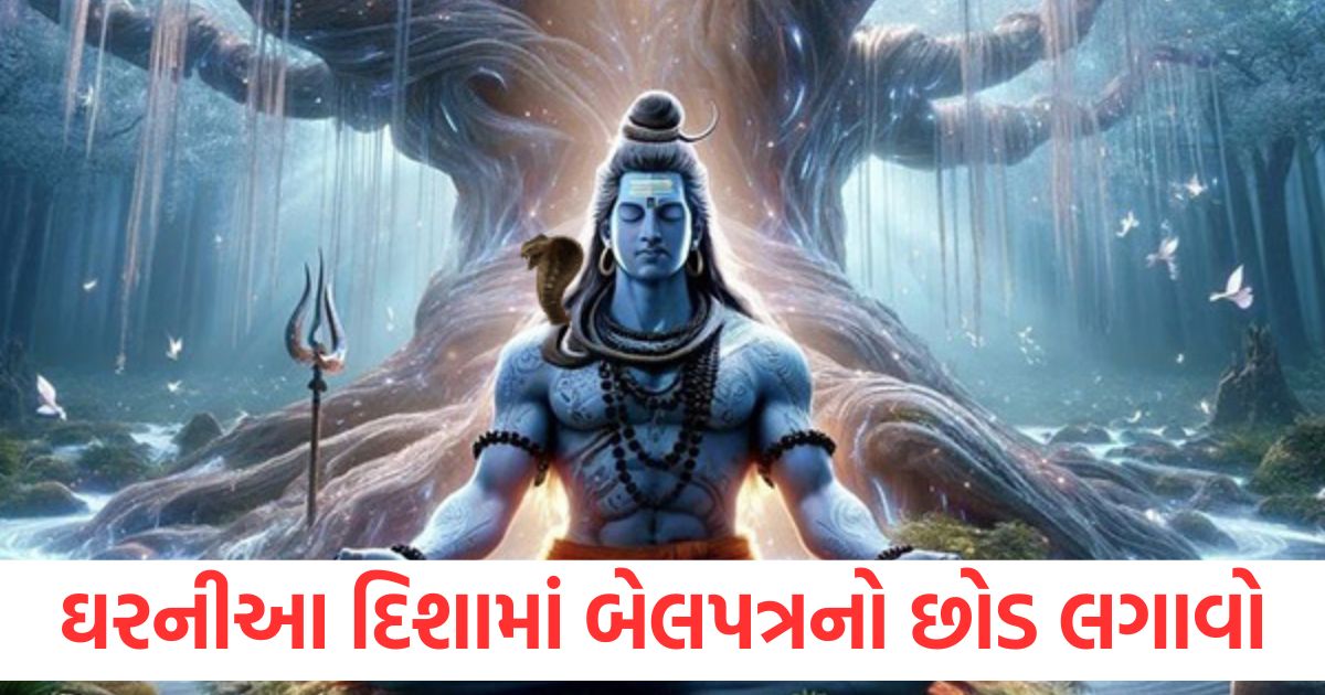 Plant a bel leaf plant in this direction of the house in the month of Shravan Mahadev will shower his blessings